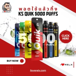 KS Quik 5000 puffs