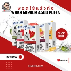 WAKA Mirror 4500 Puffs